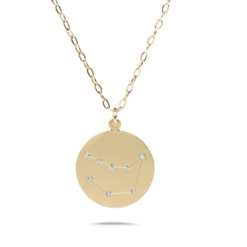 🆕♑️ NEW Lizzie Scheck Capricorn Zodiac Necklace